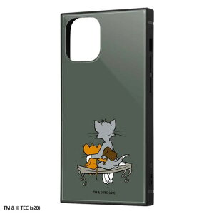 iPhone12 mini P[X n[hP[X nCubh gƃWF[ ϏՌ KAKU Hammer Jo[ ACtHgDGu~j ACzP[X X}zP[X P2