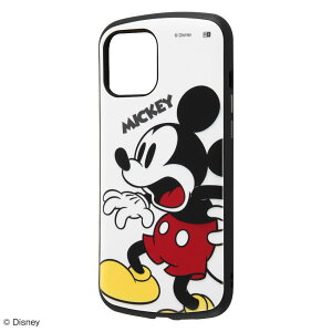 iPhone12 Pro Max P[X n[hP[X fBYj[ ϏՌ ProCa ~bL[}EX Jo[ ACz X}zP[X P2