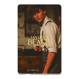 ICJ[hXebJ[ t@^XeBbNEr[Xg j[gEXL}_[