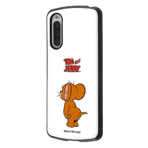 Xperia 10 IV P[X SO-52C SOG07 A202SO XQ-CC44 n[hP[X gƃWF[ ϏՌ MiA WF[ X^_[h Jo[ Xperia 10 4 \j[ GNXyA e }[NtH[ X}zP[X