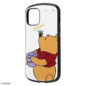 iPhone12 mini P[X n[hP[X fBYj[ ϏՌ ProCa v[ Jo[ ACtH12~j ACtHP[X