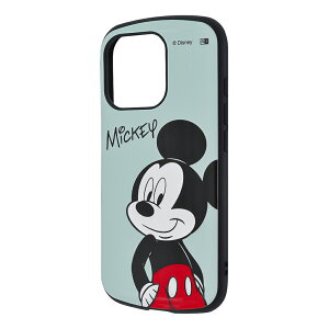 iPhone16Pro P[X nCubh fBYj[ !ی MiA Ռz op[ ~bL[}EX Jo[ ACtH16v iPhone 16 Pro ACz ACtH X}zP[X