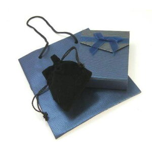 店舗用品 ジュエリーケース プレゼント用などに ギフト用紙袋&ポーチ入りボックス×10セット シンプル 高級感