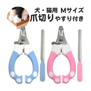 ybgpi  Lpܐ؂ ₷t MTCY