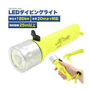 防災用品 防災グッズ 水深20mまで使える LEDダイビングライト 災害 防災 レジャー 非常用懐中電灯