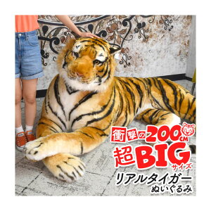 ʂ NbV  ܂ Ռ̑S200cm̒BIGTCY A^CK[ ʂ