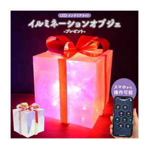 Cg ʂLEDCgŌzIȋԂo C~l[VIuWF v[g