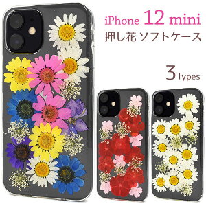 iPhone12 mini �P�[�X �\�t�g�P�[�X ������ �J�o�[ �A�C�t�H���g�D�G���u �~�j �A�C�t�H���P�[�X �X�}�z�P�[�X