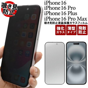 iPhone 16 16Plus 16Pro 16ProMax tB tی `h~ KX Jo[ ACtH16 vX v v}bNX iPhone 16 Plus Pro Max ACz ACtH X}zP[X P2