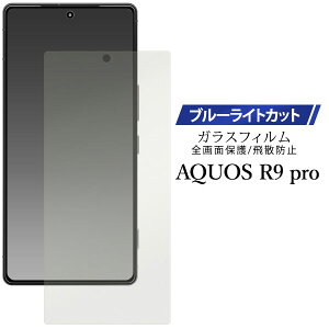 AQUOS R9 pro tB SH-54E SH-M30 tی u[CgJbg KX V[g V[ Jo[ V[v ANIX A[iCv X}ztB