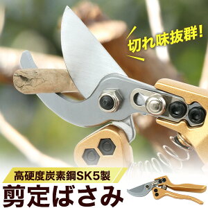 ΂ dxYf|n(SK5)Ő؂ꖡQ