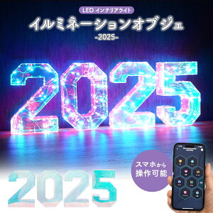 ライト イルミネーション オブジェ 2025