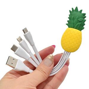 X}z [dP[u iPhone Android Type-C pCibvfUC}`[dUSBP[u X}[gtH X}zANZT[ P2