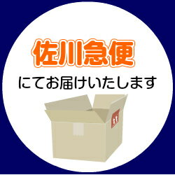 【送料無料】南部鉄器壱鋳堂純金箔鉄偶(桐箱入)南部鉄鉄インテリア置物オブジェ金沢伝統箔岩手盛岡伝統工芸品おしゃれかわいい
