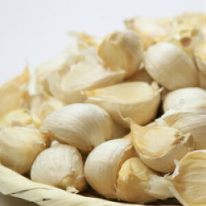 yzXY@ߘa7NxY@ɂɂ o1kgi嗱EjYn@LЃfBvR