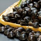 ������̵���۽����ФΤ�������γ���ࣱ�����ʺ�ȴ�����סˤ�ޤȤ��������¤����ߤ��������ന�������Ŀ���������