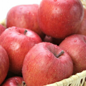 yʌiz@XY@OO񂲁@Tӂ@5kgi14`16ʁjOOs@t@p@Yn