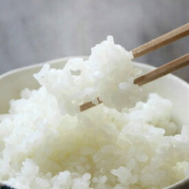 新米【送料込み】令和5年産　秋田県産　特別栽培米　あきたこまち　3kg　産地直送（25kgまで同梱可）