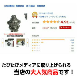 【送料無料】南部鉄器鉄分補給南部鉄偶