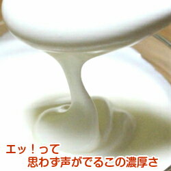 楽天市場 岩手 湯田牛乳公社 プレミアム湯田ヨーグルト 加糖 セレクトショップ東北