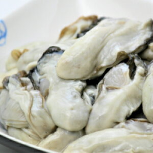 yz茧DnY@yނg@MpMTCY@500gi120g`27gE18~25xjYn