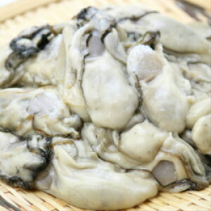 yz茧DnY@yނg@MpLTCY@500gi132gȏE13~16xjYn