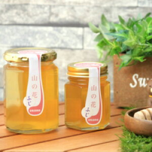 yz{I@Y@VR@M@݂͂@R̉ԁiӂj@300g@@[J[