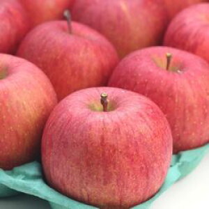 12/1甭Jn\@茧Y@󂠂񂲁@Tӂ@5kgi16`23ʁjƒp@@Ynyz