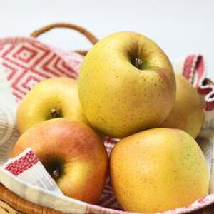 12/8甭Jn\@茧Y@󂠂񂲁@󏭕i@݂Ɓ@3kgi9`12ʁjƒp@@ʎ@Ynyz