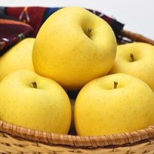 12/15甭Jn\@茧Y@󂠂񂲁@󏭕i@͂邩@11ʁ`12ʓi3Kgjƒp@@ʎ@Ynyz