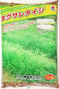 �l�O�T���^�C�W �A�E�F�i�X�g���S�T�i���񔞖쐶��j1kg