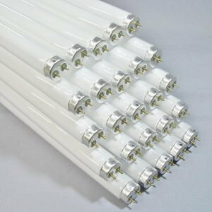 ���� 25�{�Z�b�g ���ǌu���� �s�����E�z���C�g�t �O���[�X�^�[�^�` 20W �����F FL20SS�EN/18_set