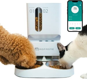 y2ނ̃Snoz MOFMORE a L 2C  a ybg   5Le ^C}[ ȒPݒ tA