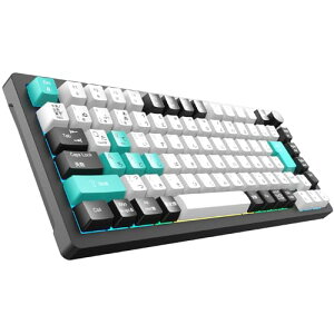 Q[~OL[{[h 2025NƊE {JISz񁕂Ȉ󎚈̉ 75%RpNg JjJL[{[h KXPbg}Eg/TeCg 40g PBTL[Lbv JX^}CY\ }