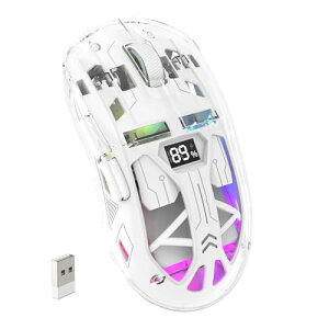 FREEWOLF �Q�[�~���O�}�E�XA2 ����RGB�� 2.4G/BT �ڑ� �����Q�[�~���O�}�E�X �����P�[�X RGB �����}�E�X �y�� DPI 800-4000 �l�ԍH�w �f�W�^���\�� 400mAh �o�b�e���[ 5�i�����\ (�K���X�z���C�g)