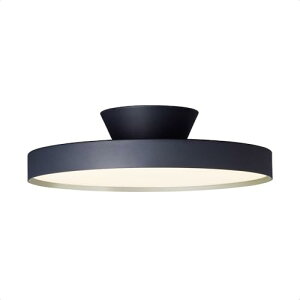 A[g[NX^WI O[ 6000 LED V[OCg `14p 40000  F (gF/F ؂ւ) rO _CjO Ɩ L͈ ԐڏƖ@\ Rt AW-0626E-BK/CGD (ub