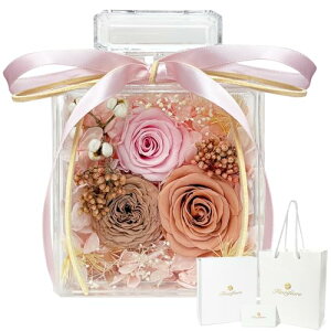 Fiorifiore 2025Vo vU[uht[Mtg r^ ANԊ ͂Ȃ KN t[Mtg FMtg{bNX MtgobO bZ[WJ[h [YJ[ht a