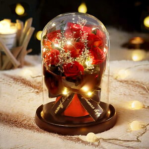 \[vt[ LangRay ͂Ȃ  ԑ o ? ?t[ 蕨 Mtg hV̓ ̓ JXj a LO    v[g Mtg{bNX (LED Ԃo)