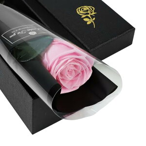 SENJWARM vU[uht[ ւ̃o a  v[g a Mtg 蕨 ͂Ȃ vU[uht[ v[gy[Y UEzo^Cf[ valentine Mtg