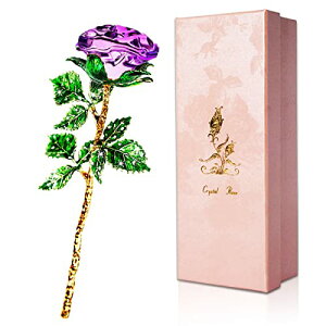  CeA NX^ o KN ւ̉ ͂Ȃ t[ Laluna K9K^NX^KXo  ޏAFBAƑAAȁAށAւ̐lC蕨 Mtg v[g hV