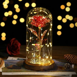 Lewondr o  KXh[ ͂Ȃ bL[Y o^C  LEDCgt  CeA zo/̓/LO/a/w//j///ޏ