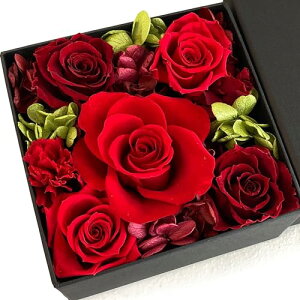 v[g vU[uht[  j a o җ Mtg bh  t[{bNX Dear Bouquet