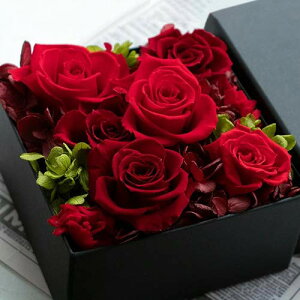 vU[uht[ v[g Mtgta j җ Dear Bouquet {bNX Ԃo L Dear BOuquet