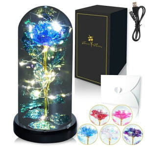 t[Cg ͂Ȃ yΊN  z o ForeverFlowers LO v[g  ޏ o^C zCgf[ a ̓ NX}X [u[ zCgCg USBdr