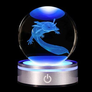 3DNX^{[T}_[LEDCg }`J[Cgt t@bVq[Oi av[g iCgCg ȕ͋C qAFlAp[gi[ւ̑蕨 LO