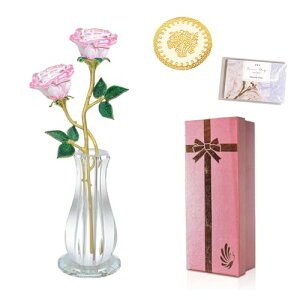 [Y&NX^ԕrX^h ͂Ȃ NX}X  o KN ޏ a v[g LO  ï ̓ Mtg i JXj  ސE i  o^