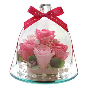 IPFA vU[uht[ KXh[ GKX v~A (肪Ƃf) a j LO ސEj җj v[g Mtg lC  o j t[Mtg