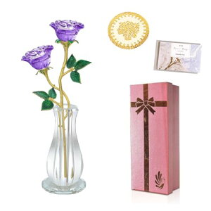 [Y&NX^ԕrX^h ͂Ȃ NX}X  o KN ޏ a v[g LO  ï ̓ Mtg i JXj  ސE i  o^