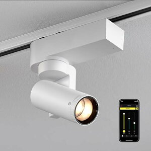 �u���p�قō̗p���ꂽ�㎿�Ȍ� �X�}�z�Ō��̌����𑀍�vSALIOT ���[�r���O�X�|�b�g���C�g (�{�̔� �d���F3000K)