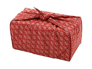 C~ 唻nJ` 50cm ̗t ()